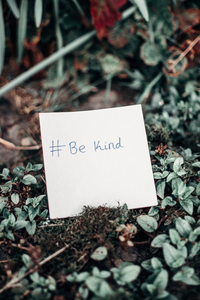 Kindness in project management